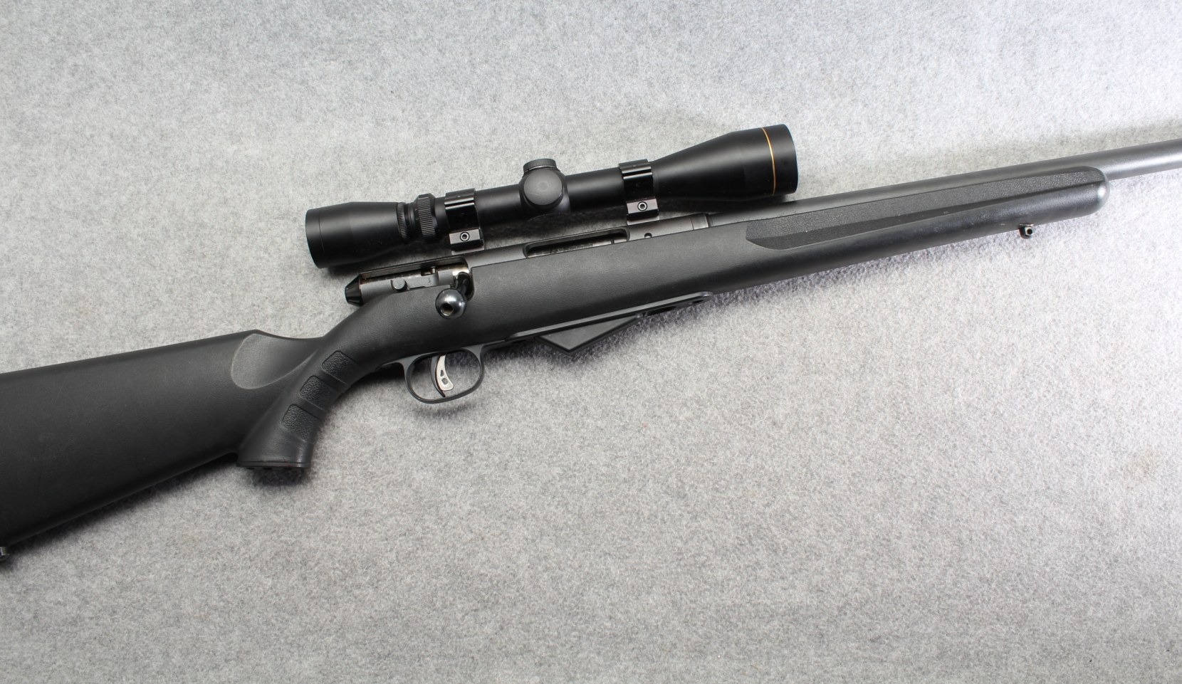 Savage ~ M-25 ~ .17 Hornet - Savage Arms