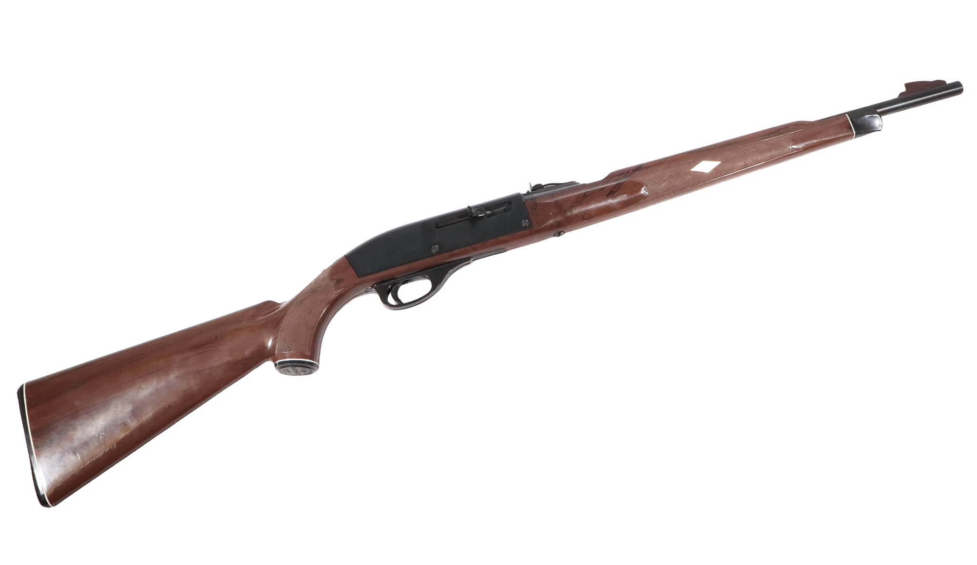 Remington ~ Nylon 66 ~ .22 LR - Remington
