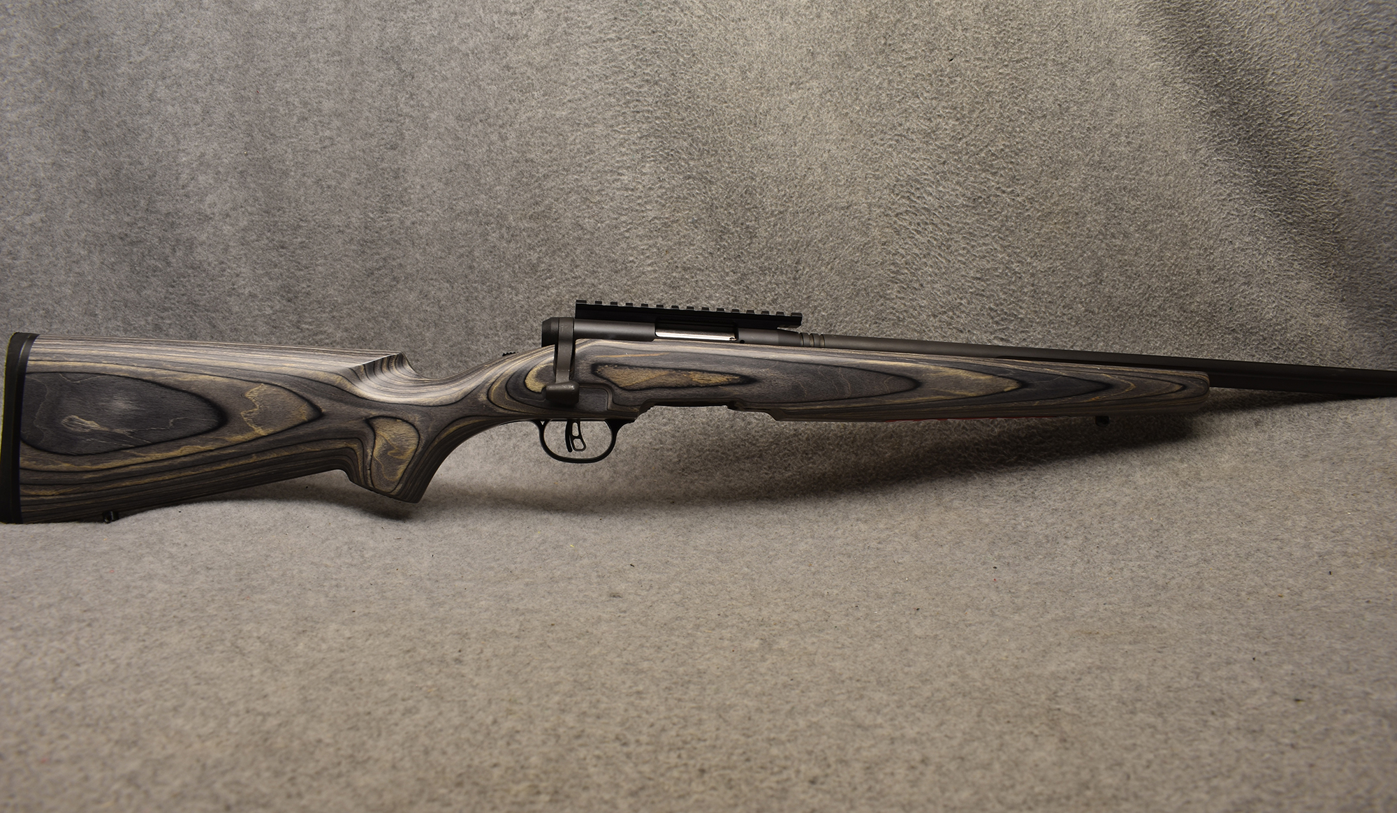 Savage Arms ~ B-Mag ~ .17 Winchester Super Magnum - Savage Arms