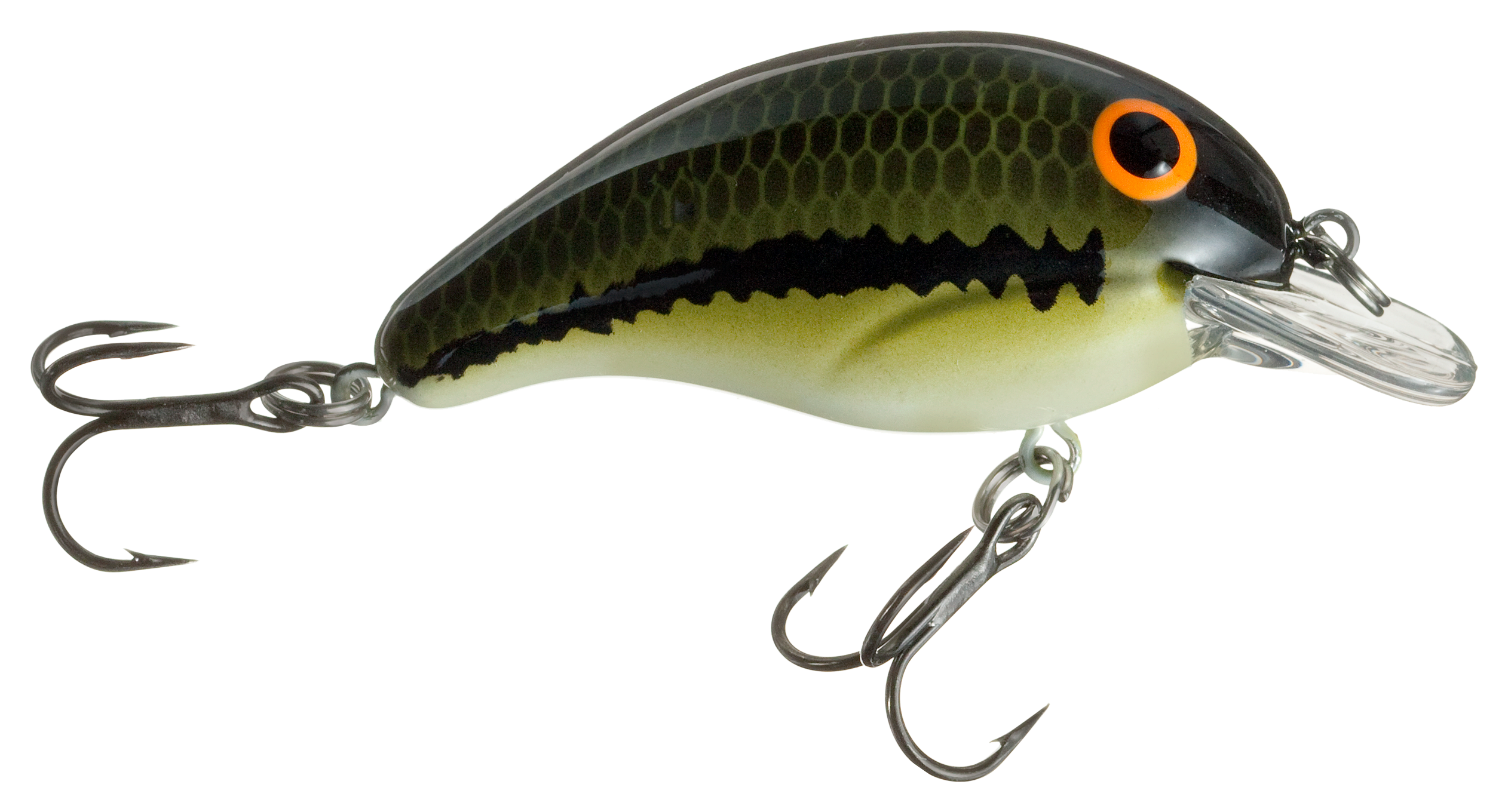  BANDIT LURES Series 100 Crankbait Bass Fishing Lures, Fishing  Accessories, Dives to 5-feet Deep, 2, 1/4 oz, Citrus Shad, (BDT1D01) :  Fishing Topwater Lures And Crankbaits : Sports & Outdoors