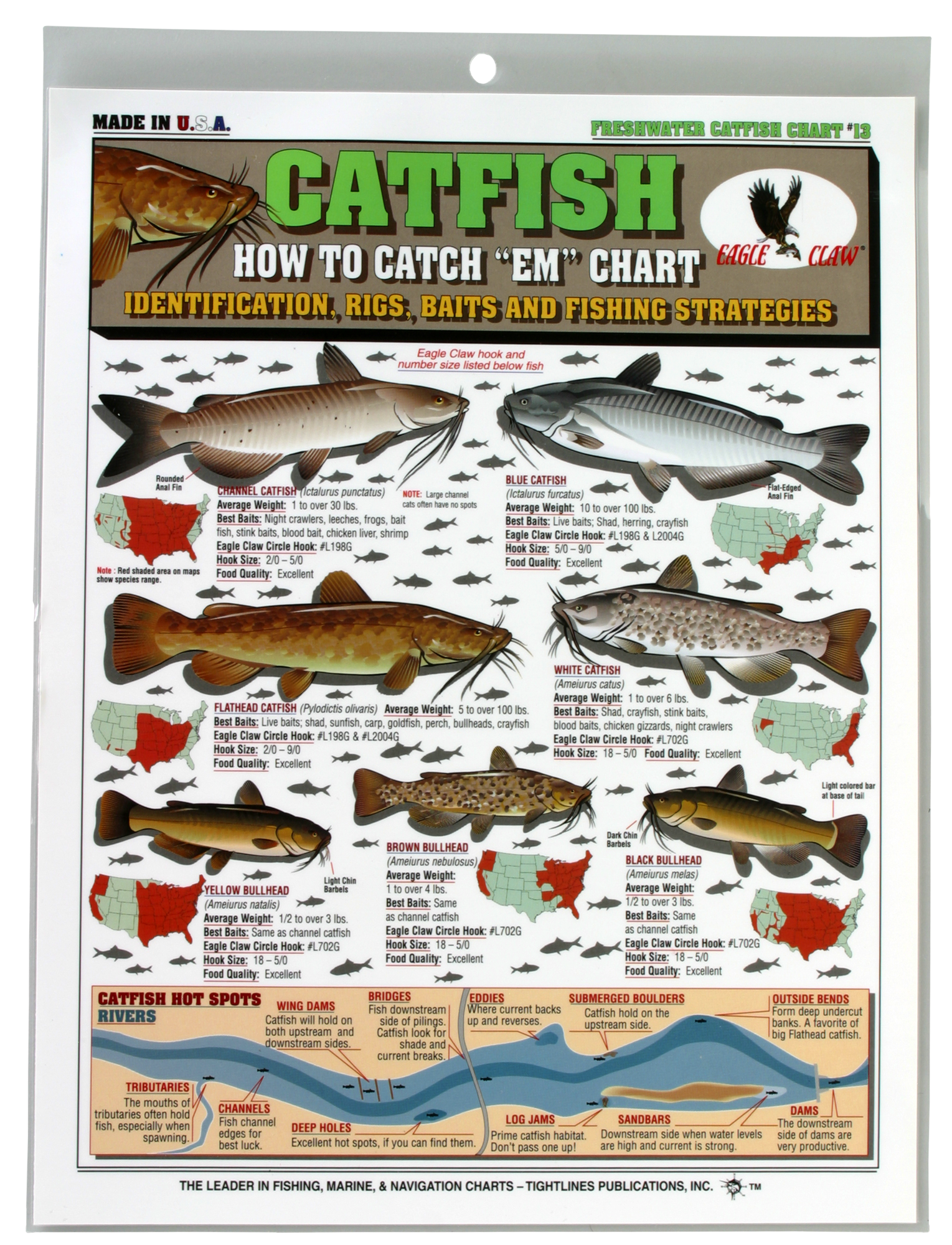 Buy Fishermans Saltwater Fish Chart #2 Online Algeria