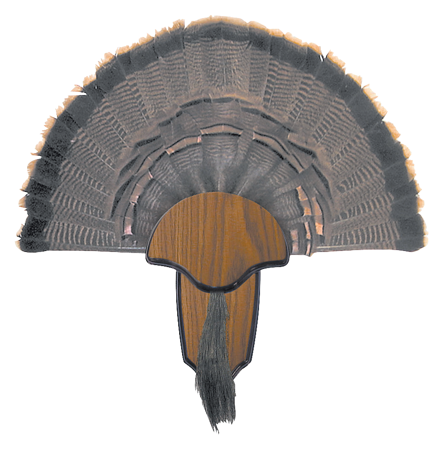 Hunter's Specialties Turkey Tail and Beard Mount Kit