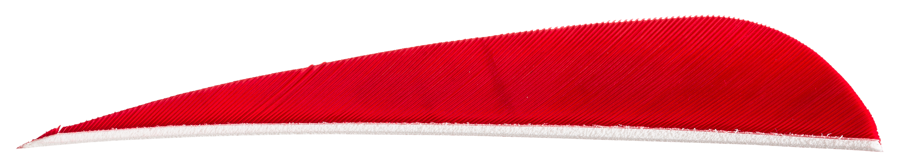Gateway Right-Wing Feathers - 5″ - Red - Gateway Feathers