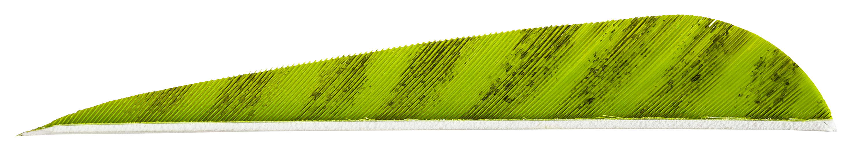 Gateway Feathers - 5" - Barred Chartreuse - Gateway Feathers