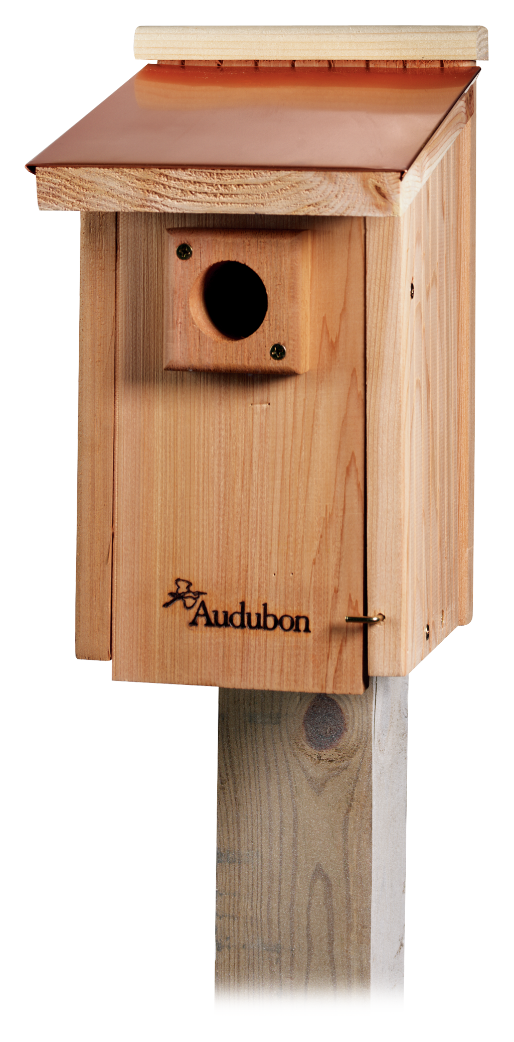 Image of Audubon Coppertop Bluebird House