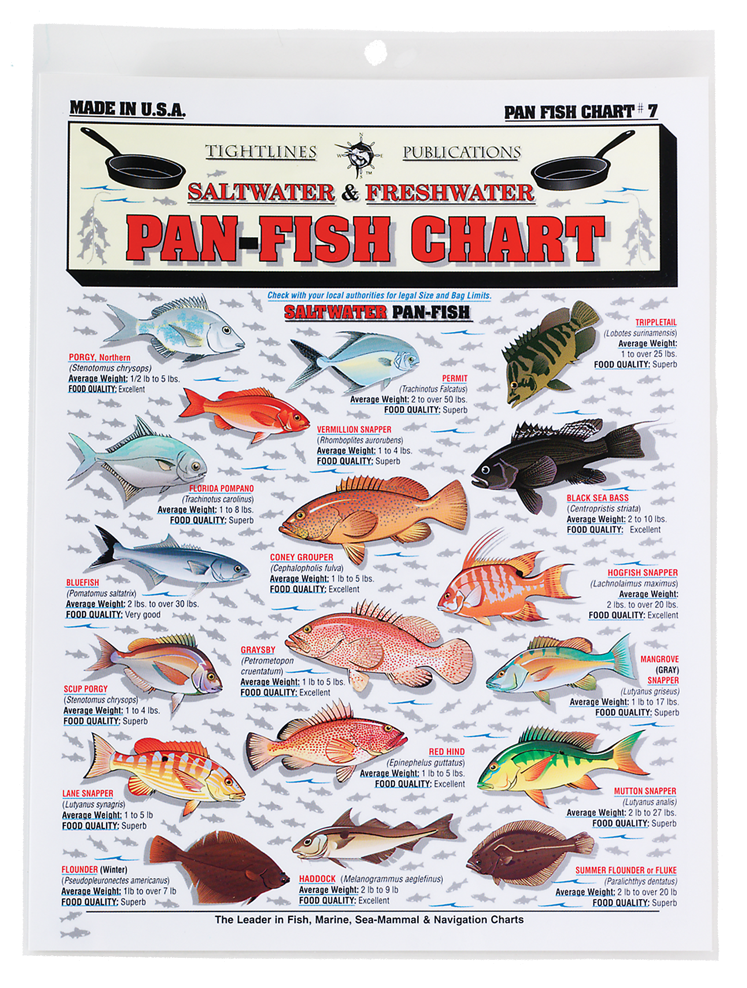 Freshwater and Saltwater Pan-Fish Chart #7