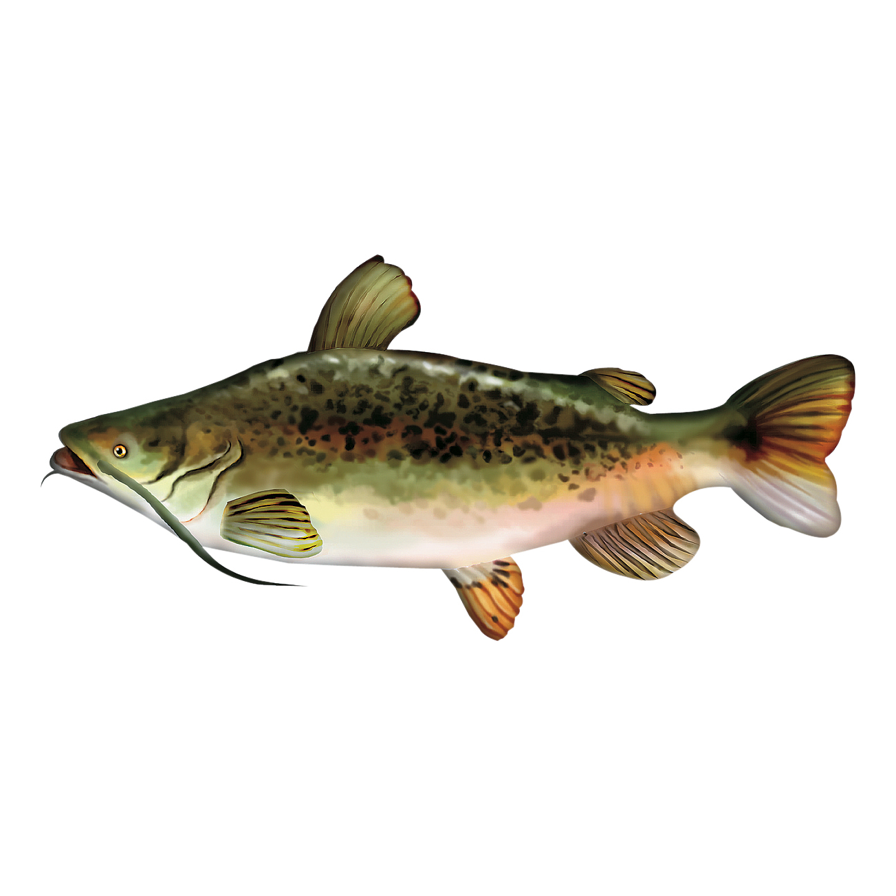 BASS PRO SHOPS Giant Stuffed Catfish for Kids