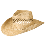 Natural Reflections Shapable Seagrass Western Hat for Ladies