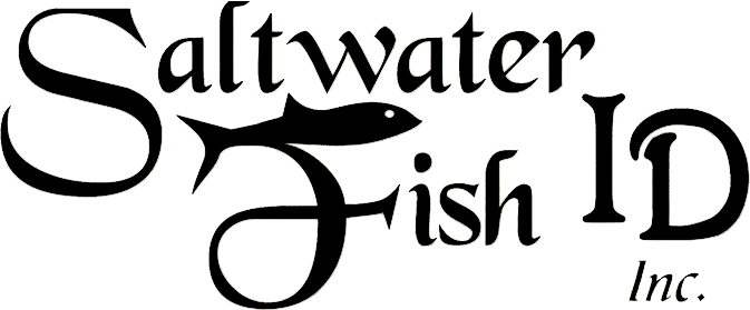 Product Brand Logo
