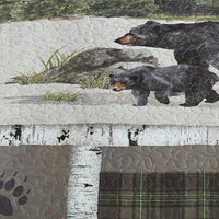 Bear Panels