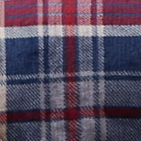 Blue/Red Plaid