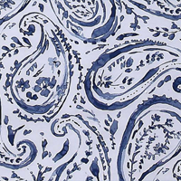 Indienne Paisley
