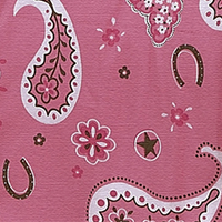 Pink Paisley