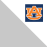 Auburn University/Cool Grey