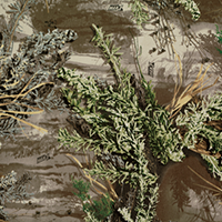 Realtree Max-1