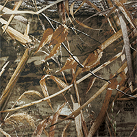 Realtree Max-5