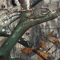Mossy Oak Treestand