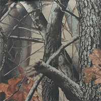 Realtree Hardwoods