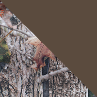 TrueTimber Kanati/Walnut