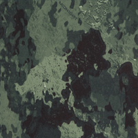 TrueTimber Midnight Olive