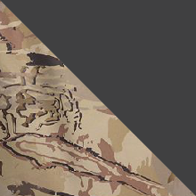 UA Barren Camo/Charcoal