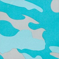 Aqua Camo