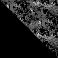 Black/TrueTimber Viper Urban