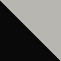 Black/Metallic Silver