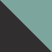 Black/Transparent Green