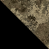 Black/TrueTimber Strata