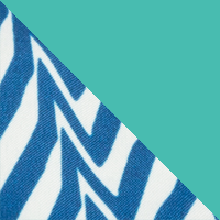 Blue Electric Stripe/Sea Spray