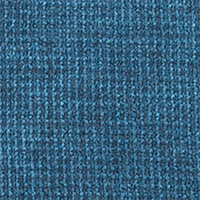Blue Wing