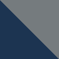 Carbon/Silver
