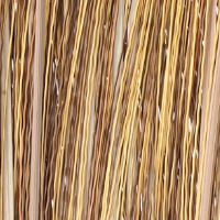 Cattail
