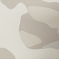 Chalk Mod Camo