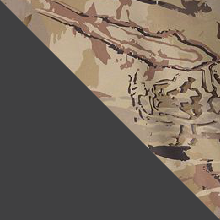 Charcoal/UA Barren Camo