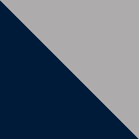 Collegiate Navy/Cool Grey