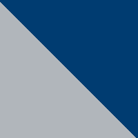 Cool Grey/Vivid Blue