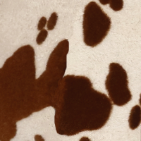 Cow Print