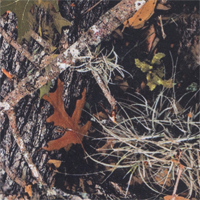 DS Camo