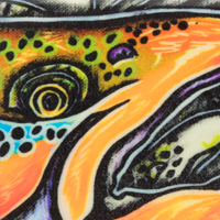 Estrada's Brown Trout