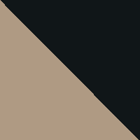 Flat Dark Earth/Black
