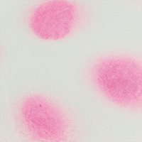 Fluorescent Pink Clown