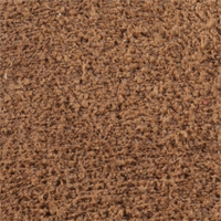 Golden Tan