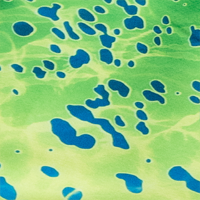 Green Dorado