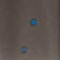 Green Pumpkin Sapphire