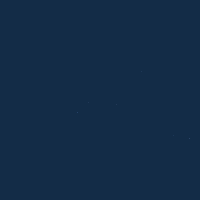 Insignia Blue