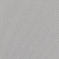 Iron Gray