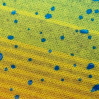 Mahi