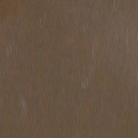 Marsh Brown